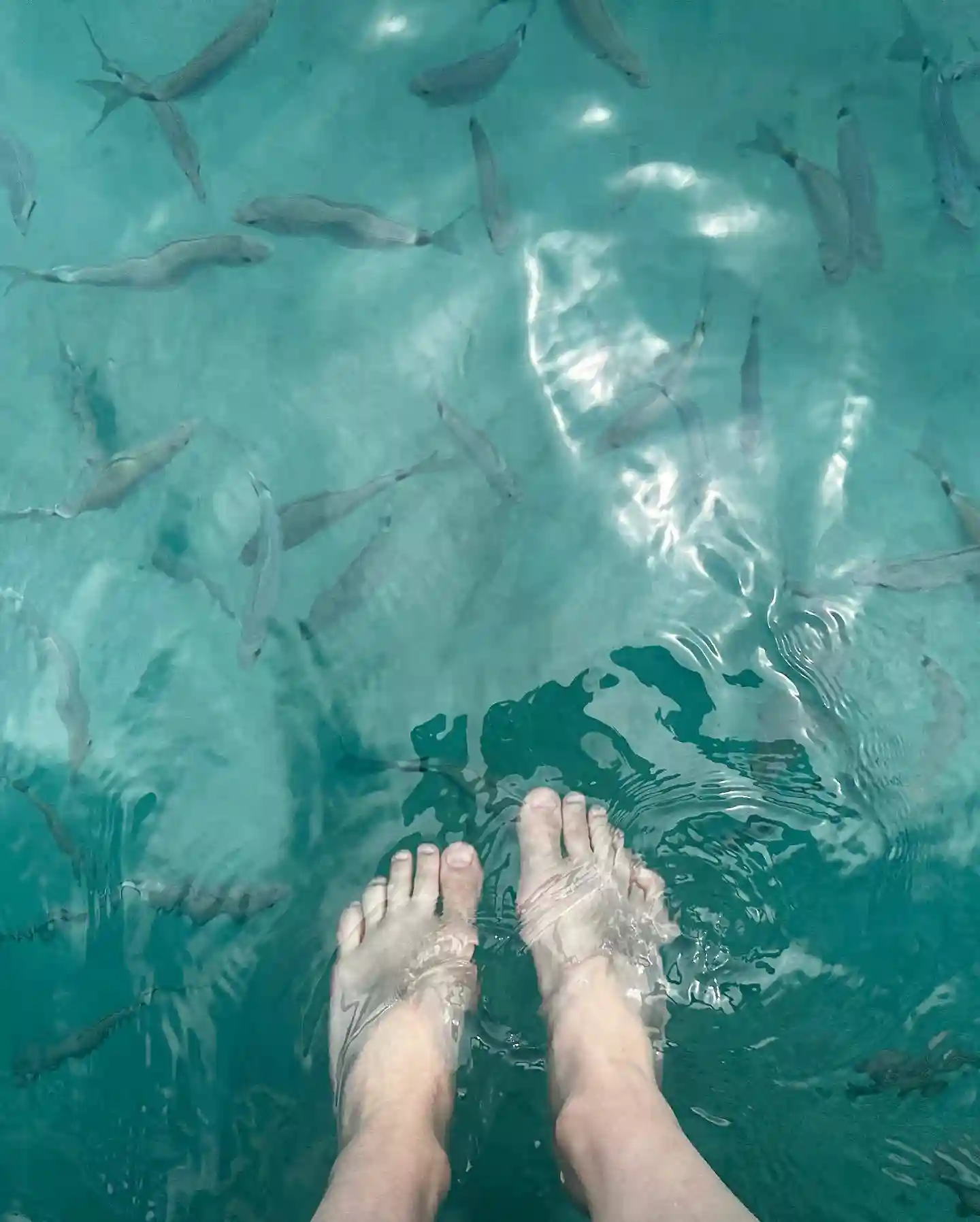 Alexandra Daddario Alexandra Daddario