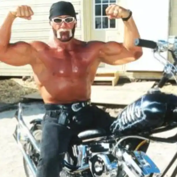 Hulk Hogan imagy image 14 14 11zon