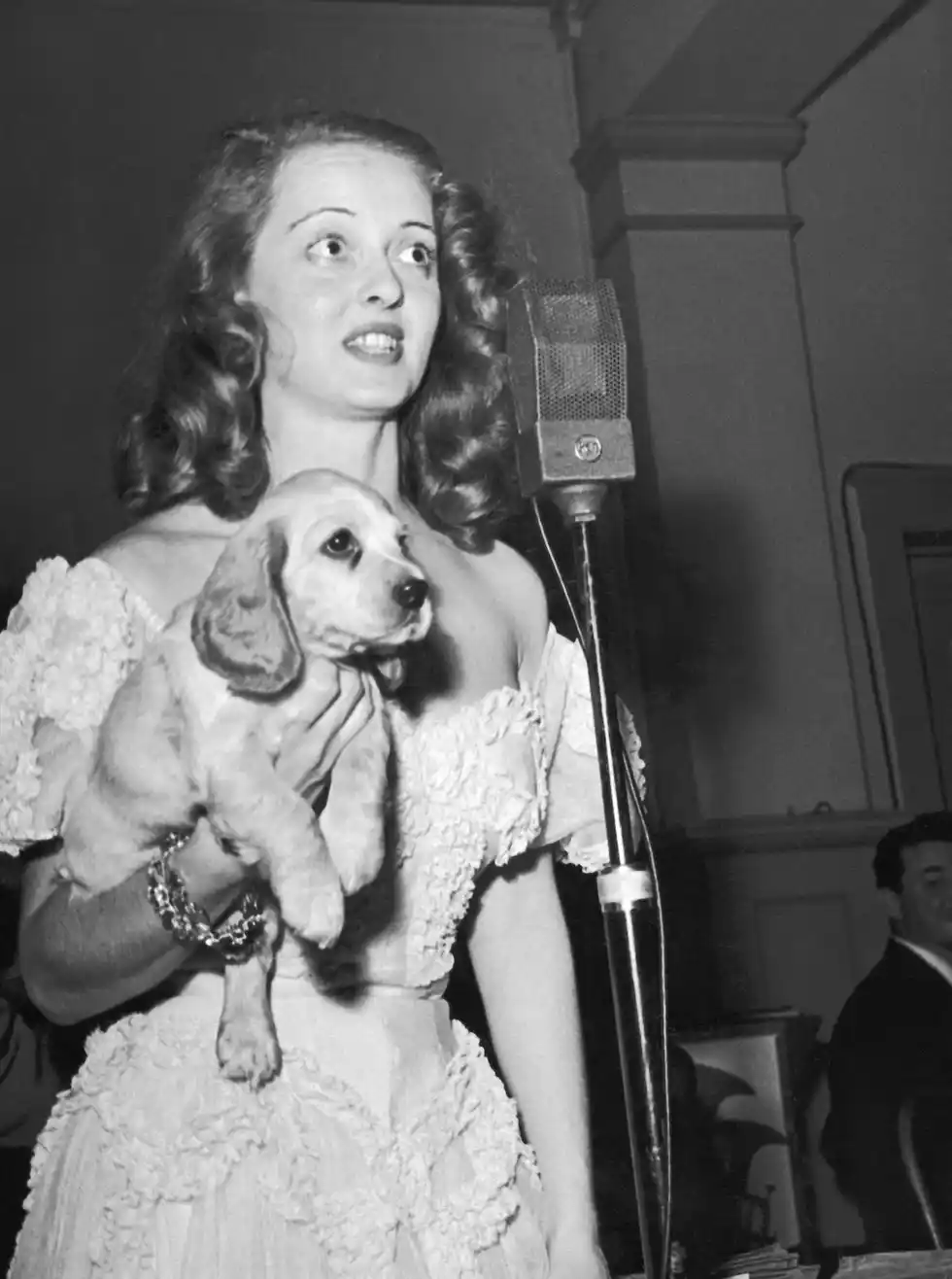 Bette Davis Bette Davis