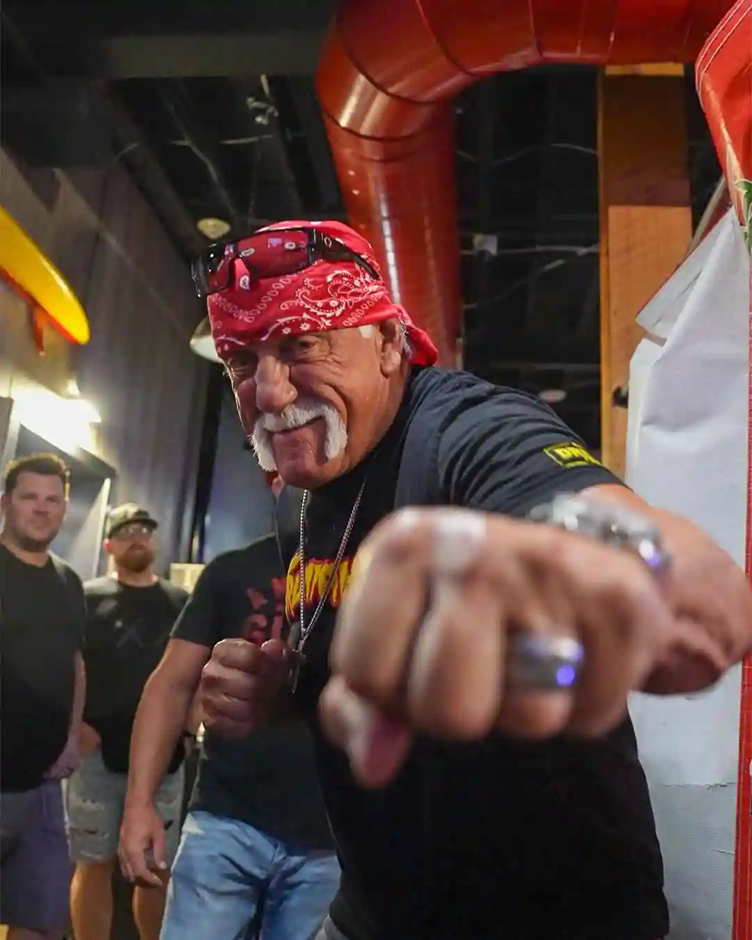 Hulk Hogan Hulk Hogan