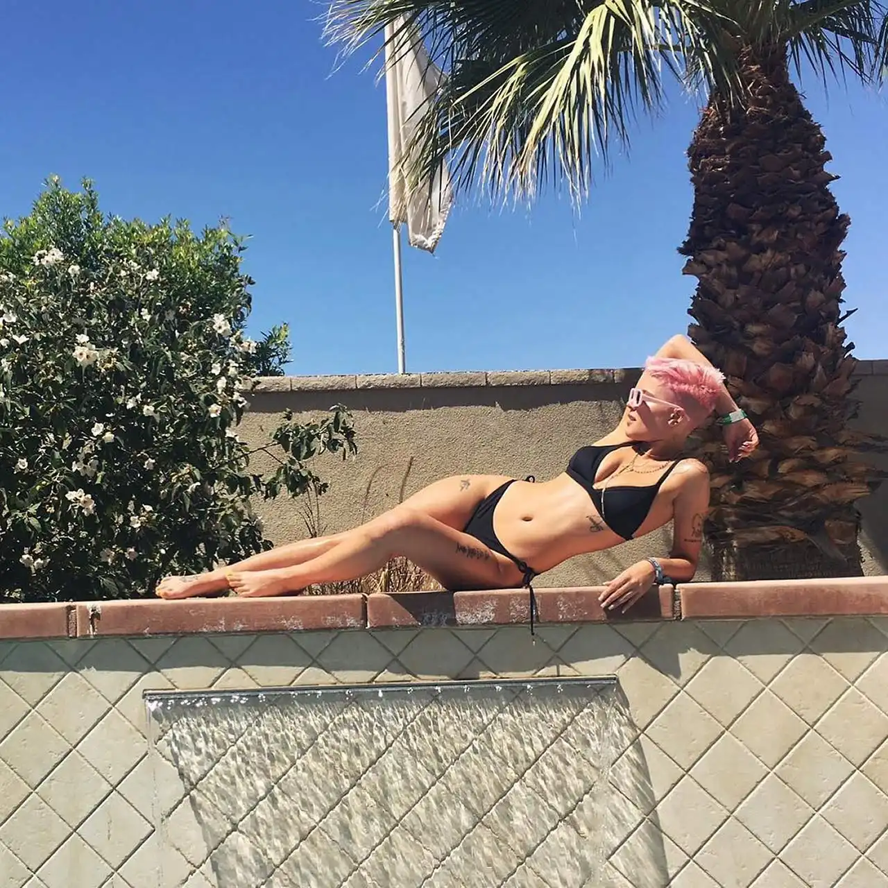 Halsey Halsey