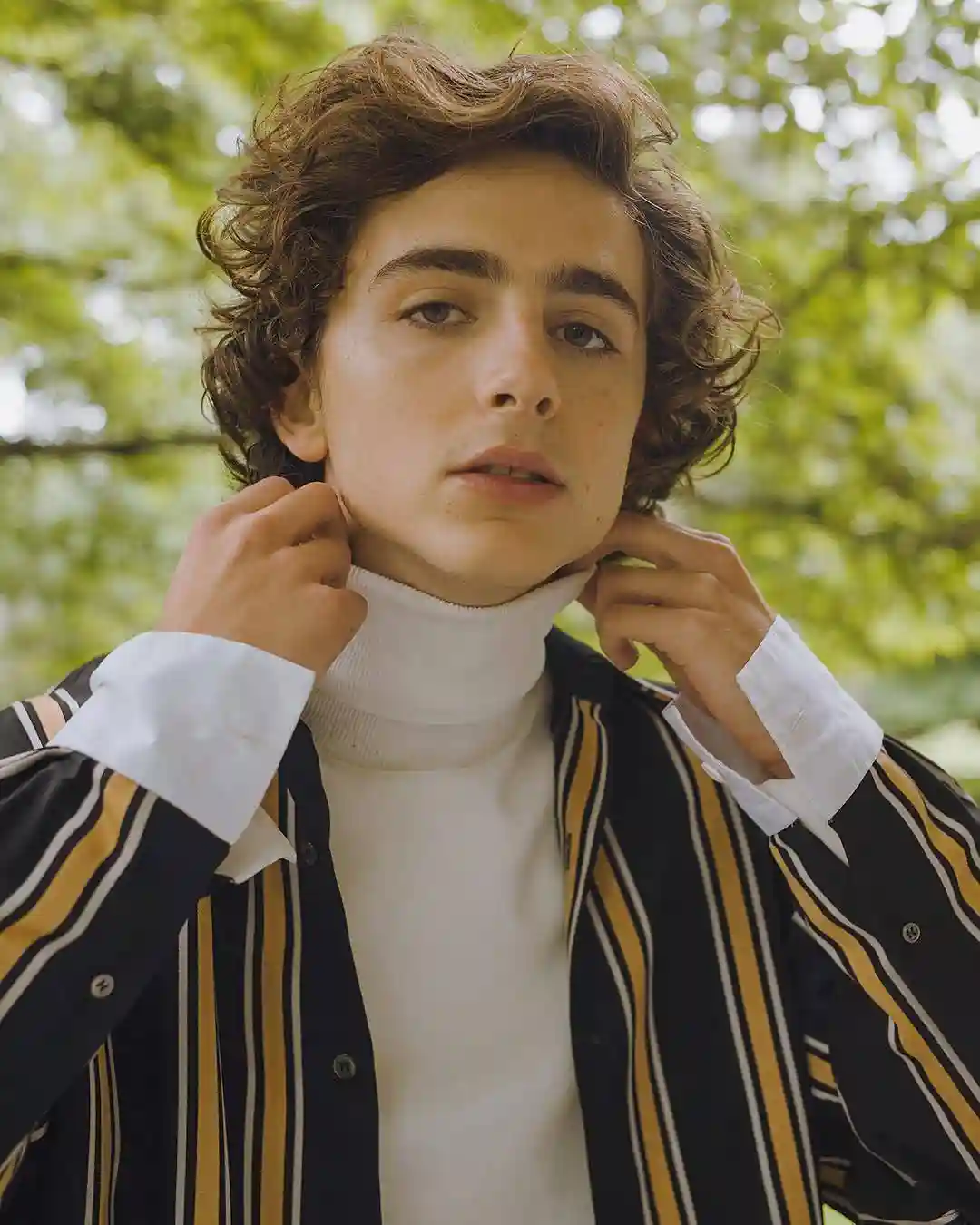 Timothee Chalamet Timothee Chalamet
