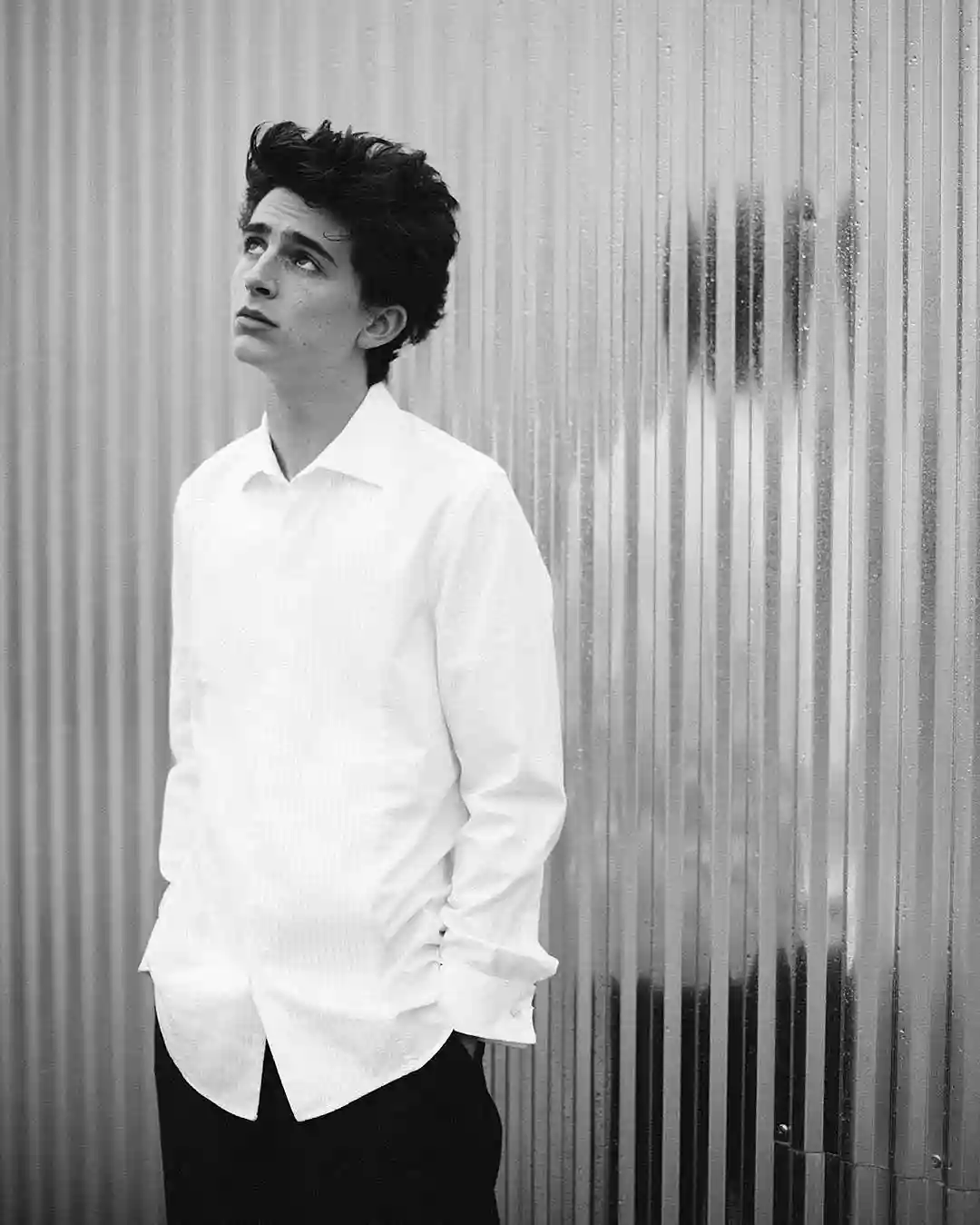 Timothee Chalamet Timothee Chalamet