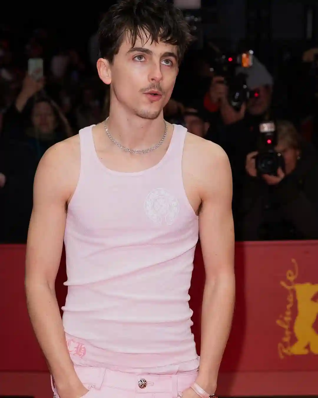Timothee Chalamet Timothee Chalamet