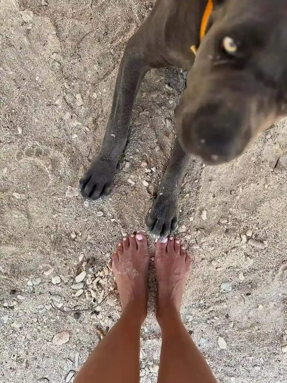 Halle Berry Feet 9 1