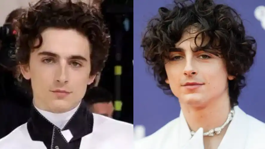 Timothee Chalamet Timothee Chalamet