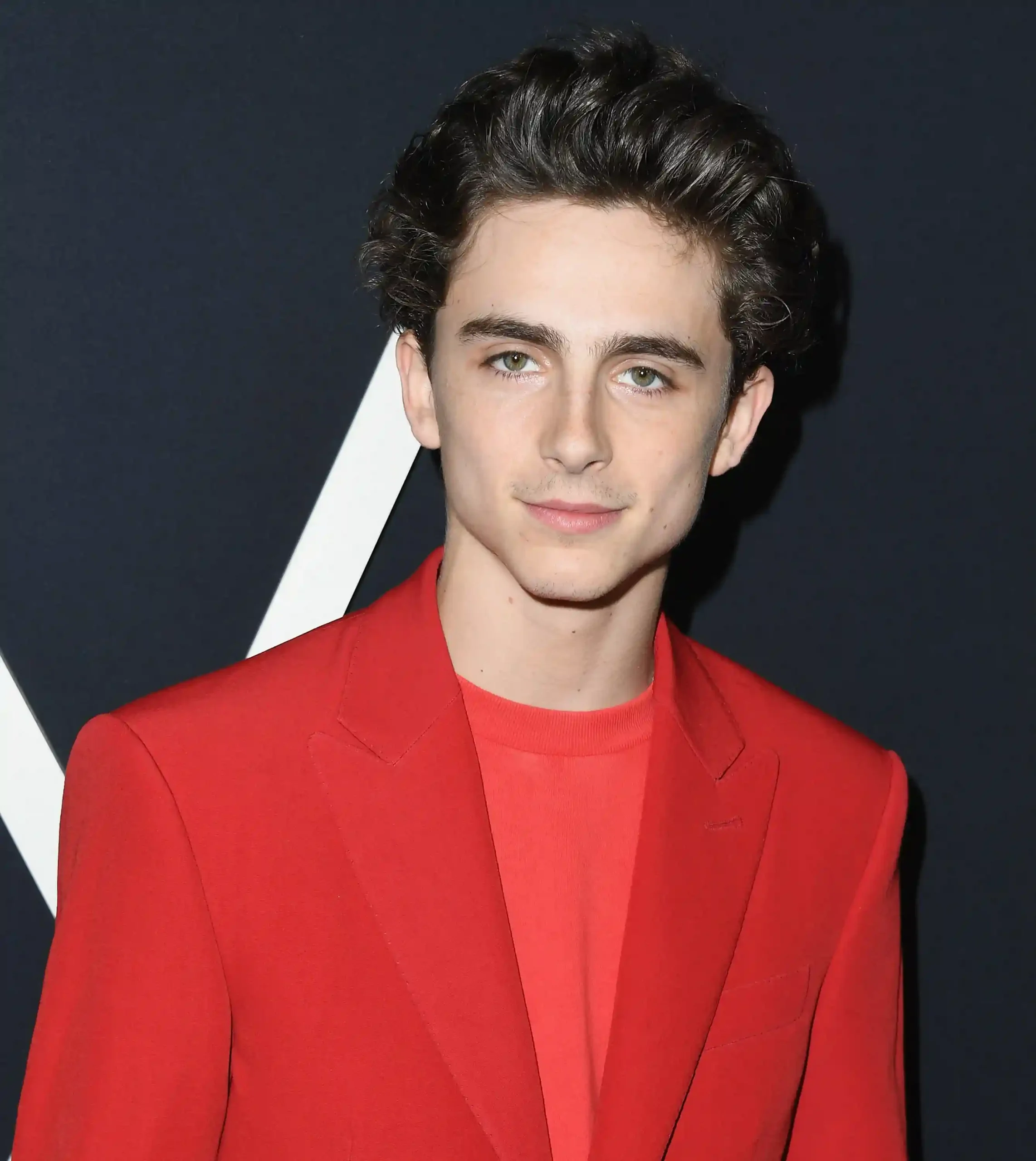 Timothee Chalamet Timothee Chalamet