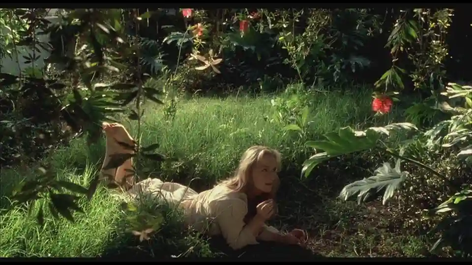 Meryl Streep Meryl Streep