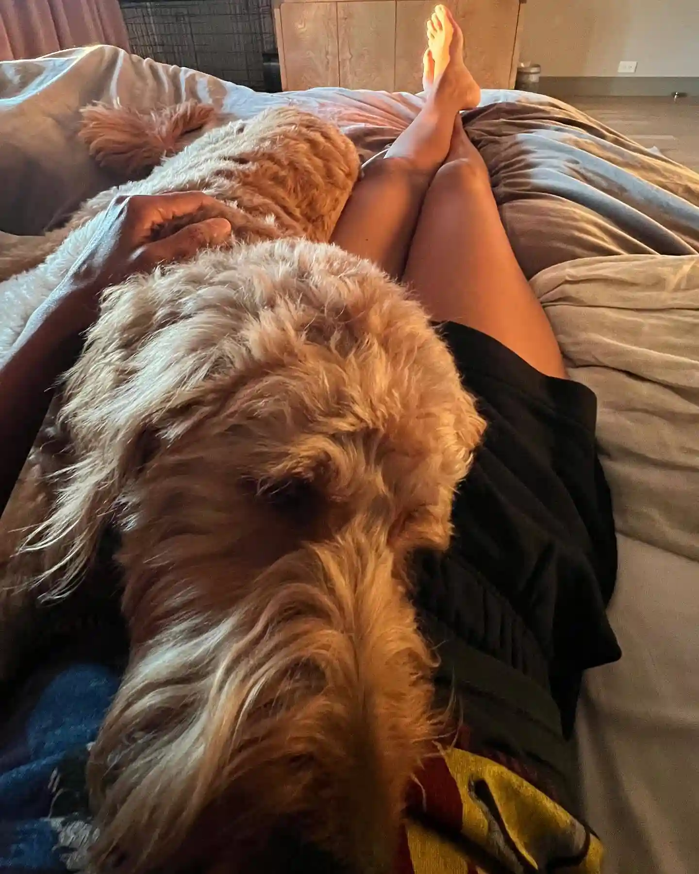 Zoe Saldana Zoe Saldana