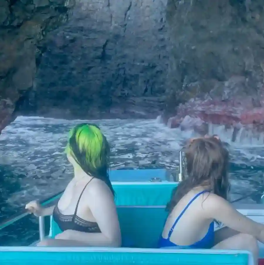 Billie Eilish Billie Eilish