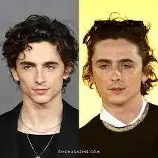 Timothee Chalamet Timothee Chalamet