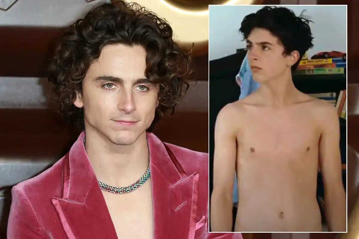 Timothee Chalamet Timothee Chalamet