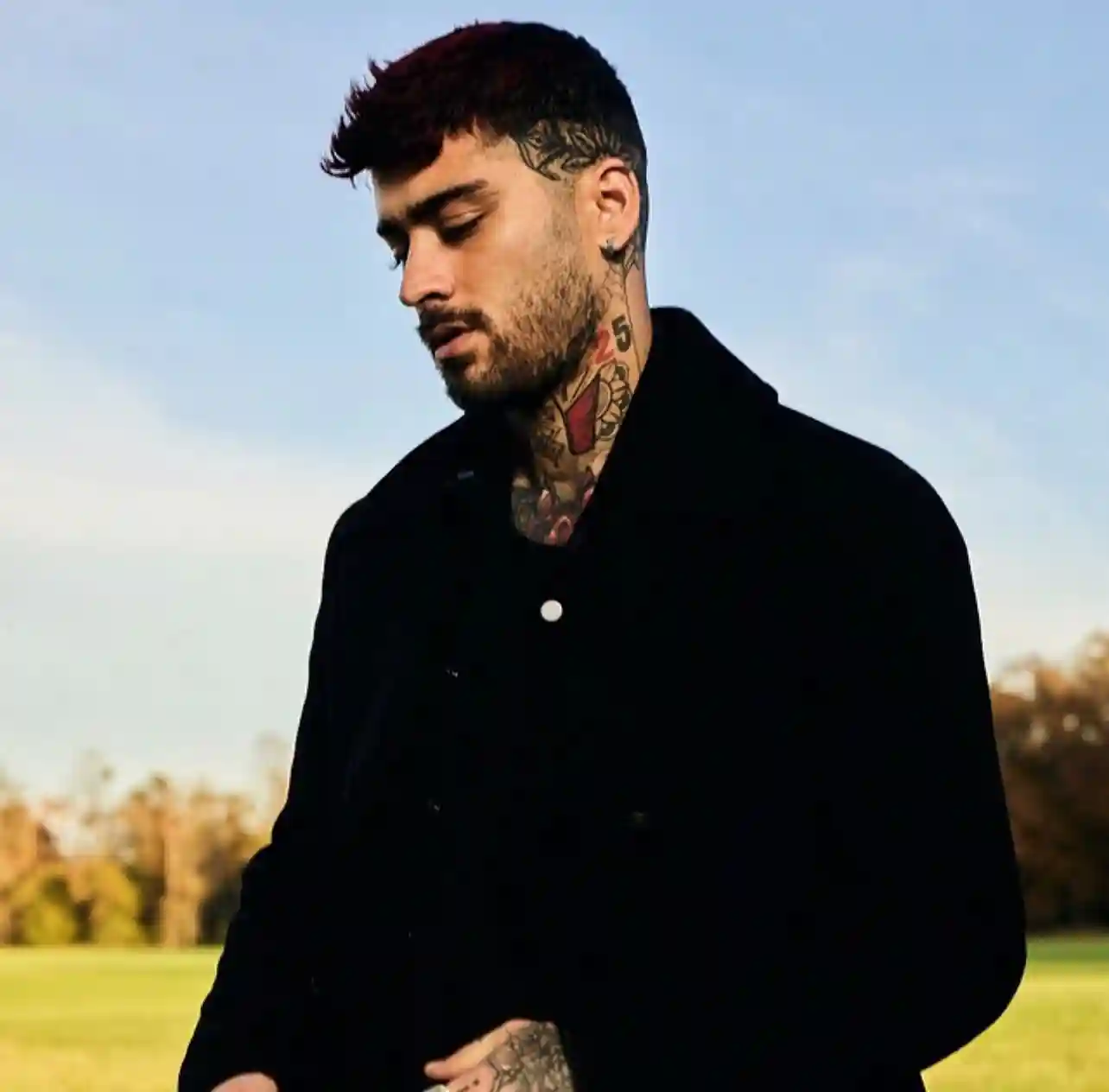 Zayn Malik Zayn Malik