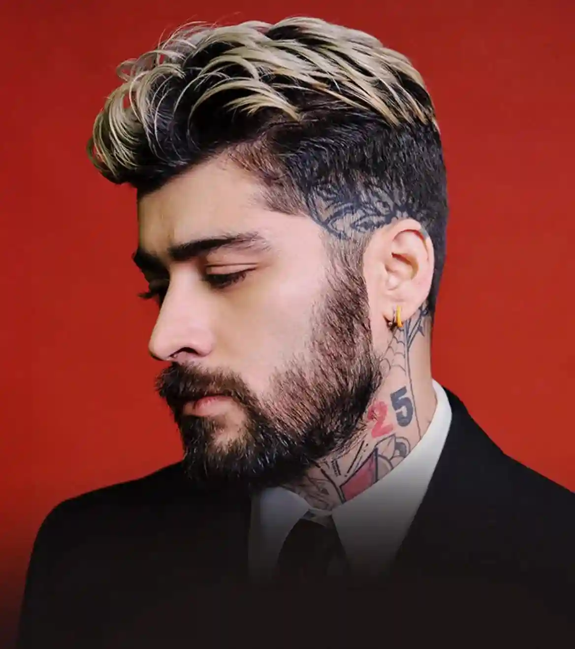 Zayn Malik Zayn Malik