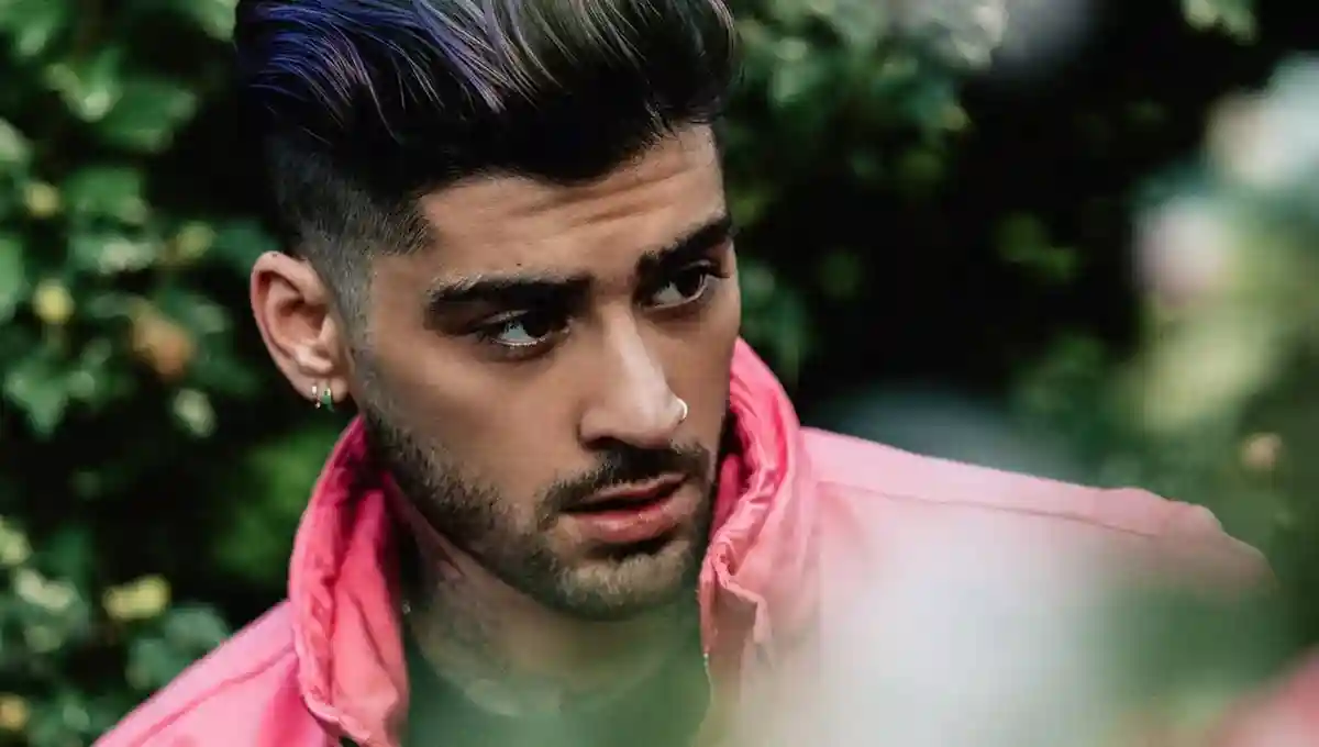 Zayn Malik Zayn Malik
