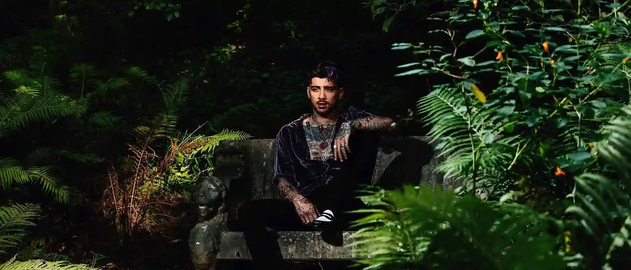 Zayn Malik Zayn Malik