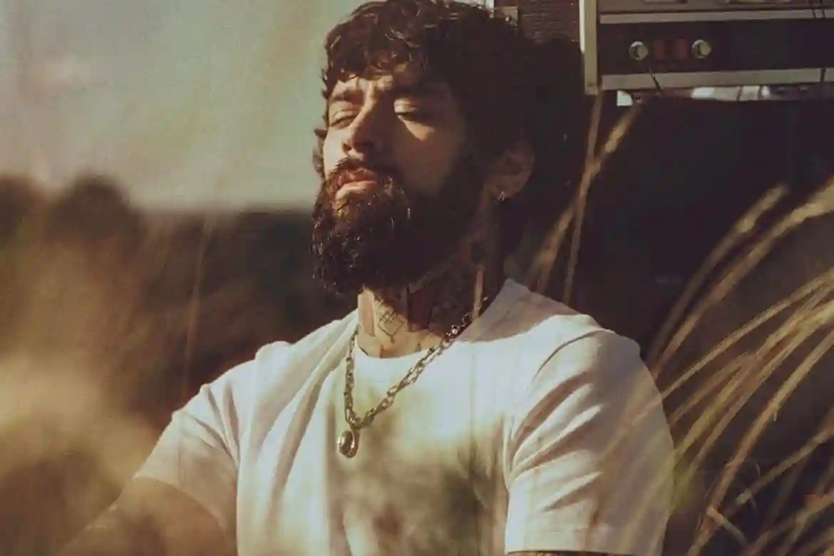Zayn Malik Zayn Malik