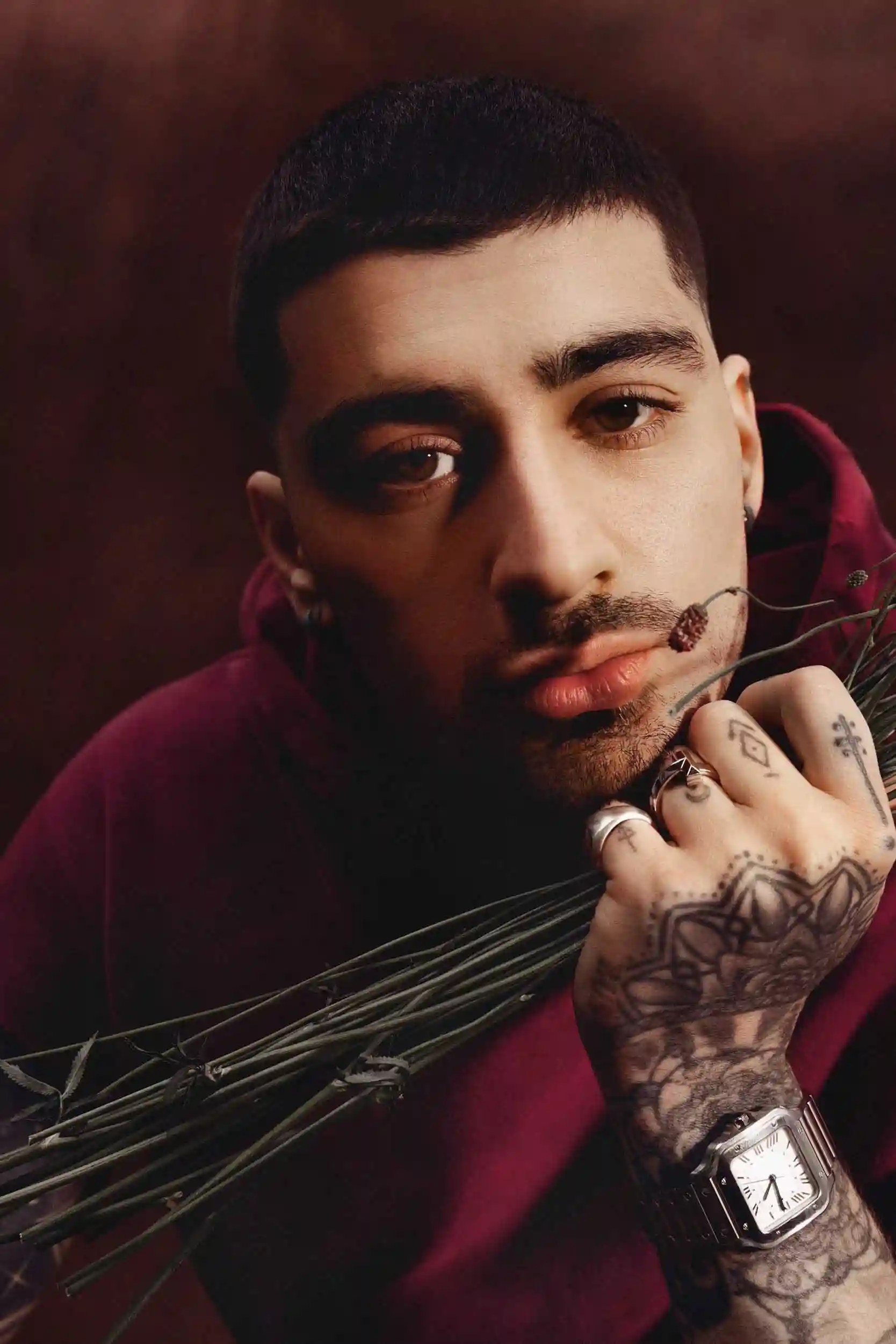 Zayn Malik Zayn Malik