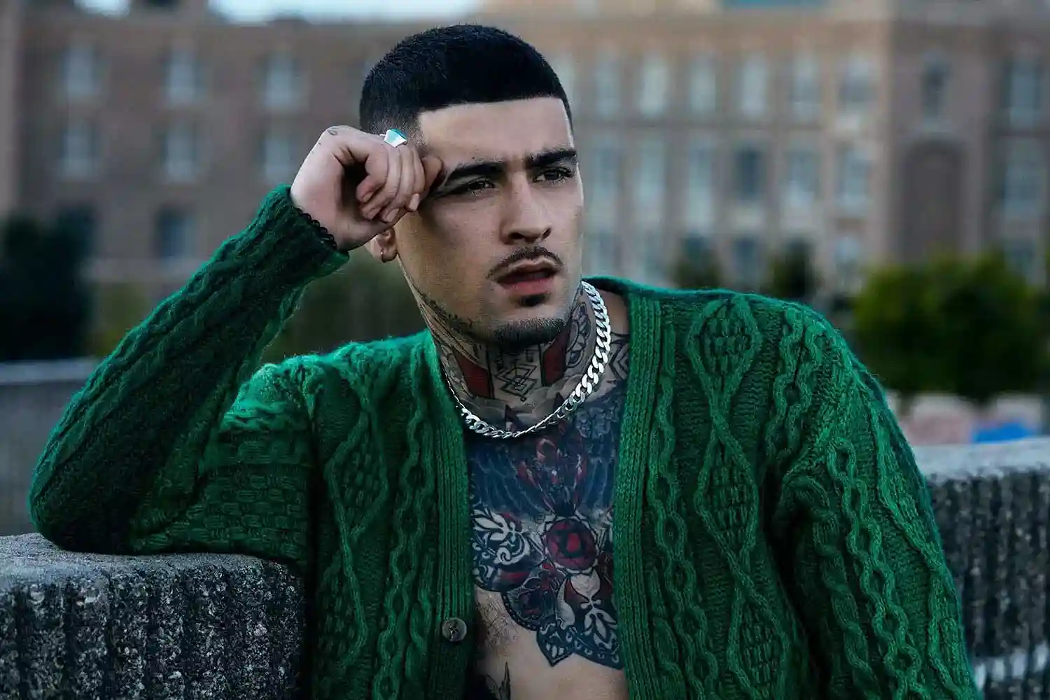 Zayn Malik Zayn Malik