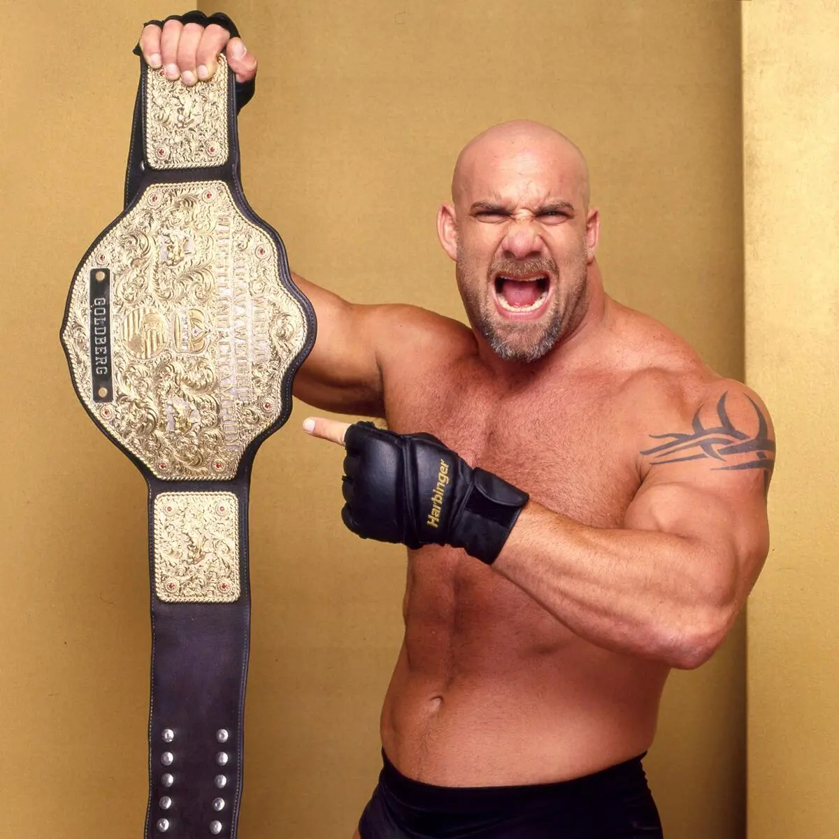 Goldberg Goldberg