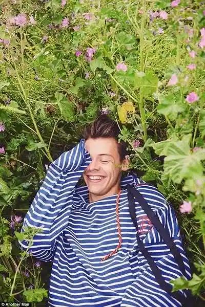 Harry Styles Harry Styles