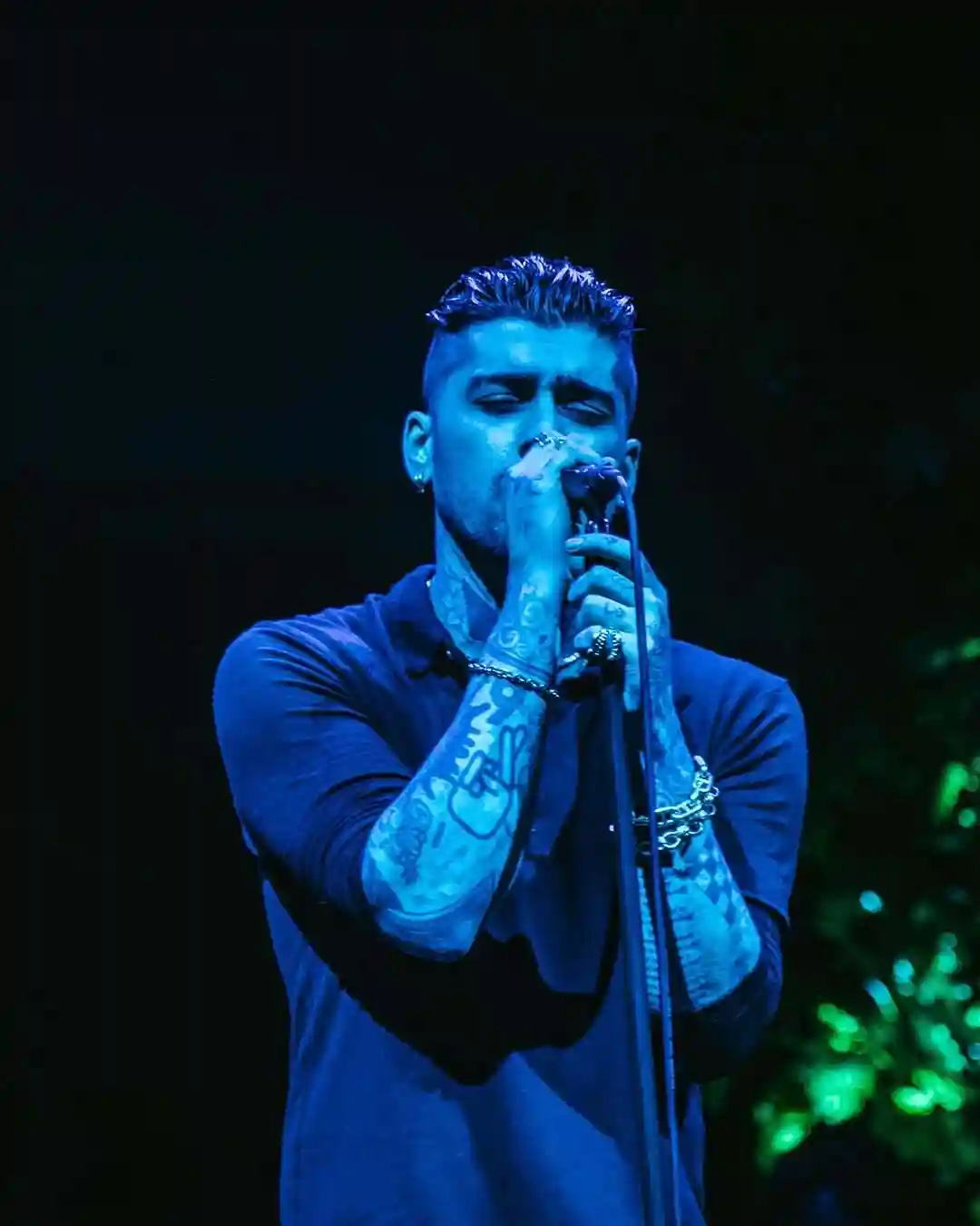 Zayn Malik Zayn Malik