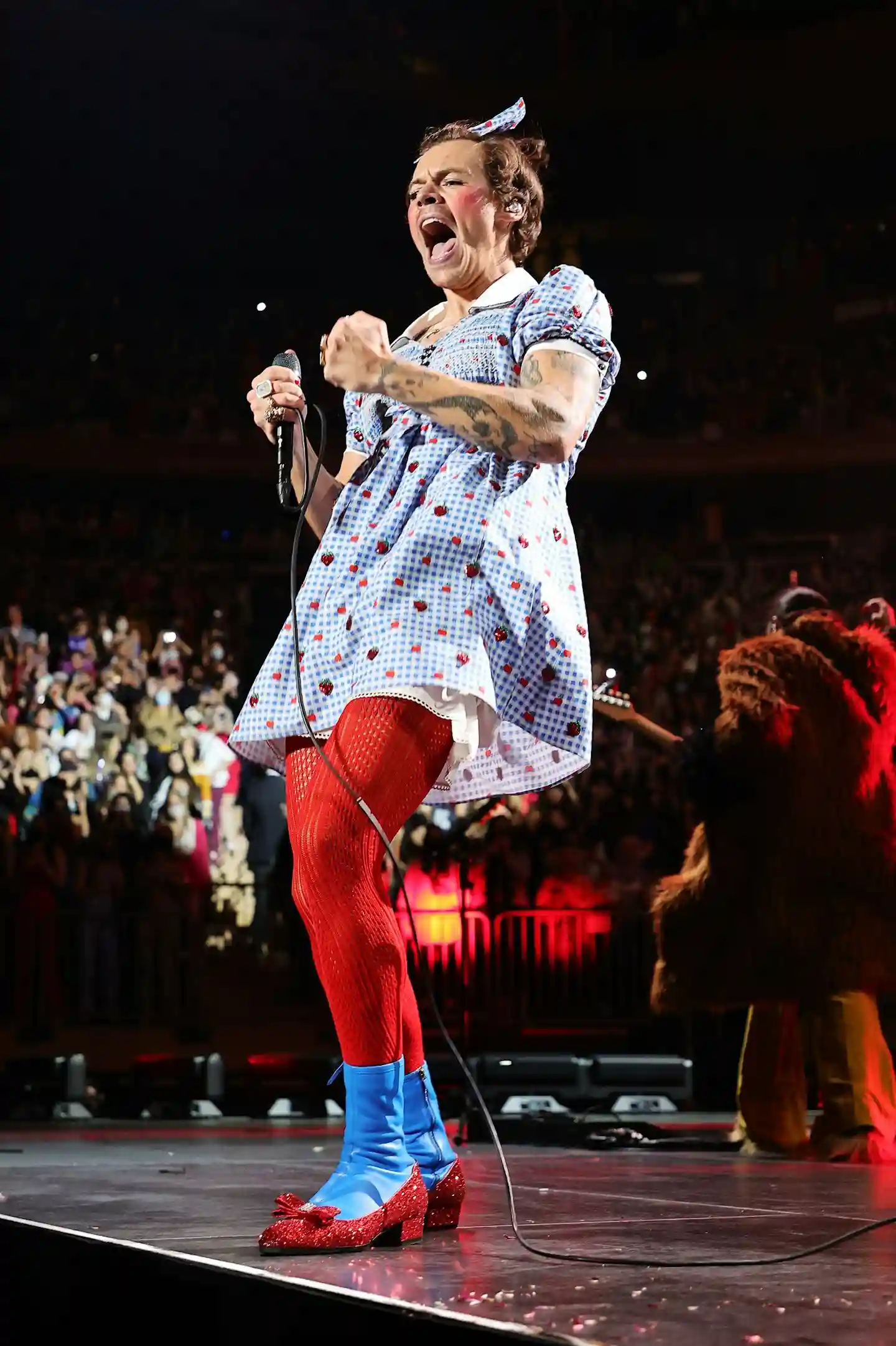 Harry Styles Harry Styles