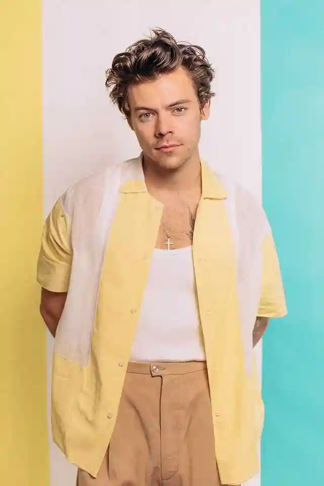 Harry Styles Harry Styles