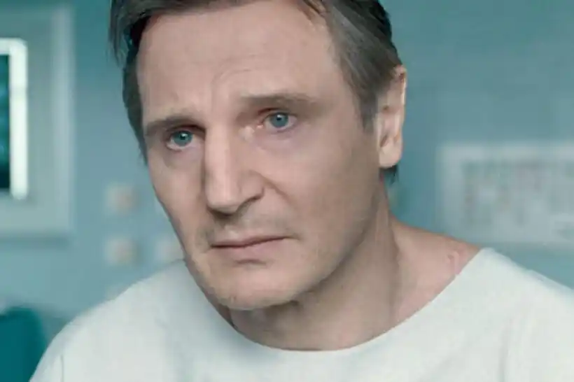Liam Neeson Liam Neeson