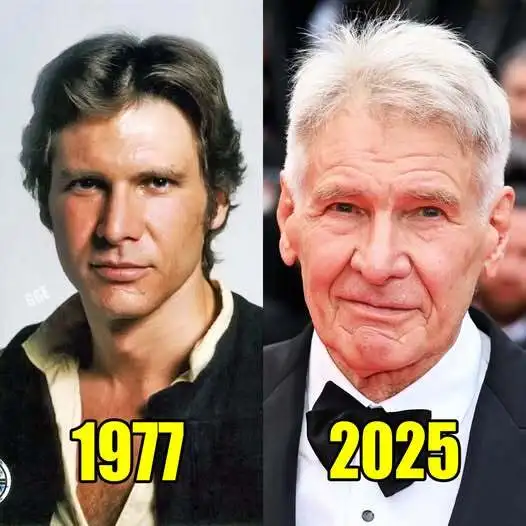 Harrison Ford Harrison Ford