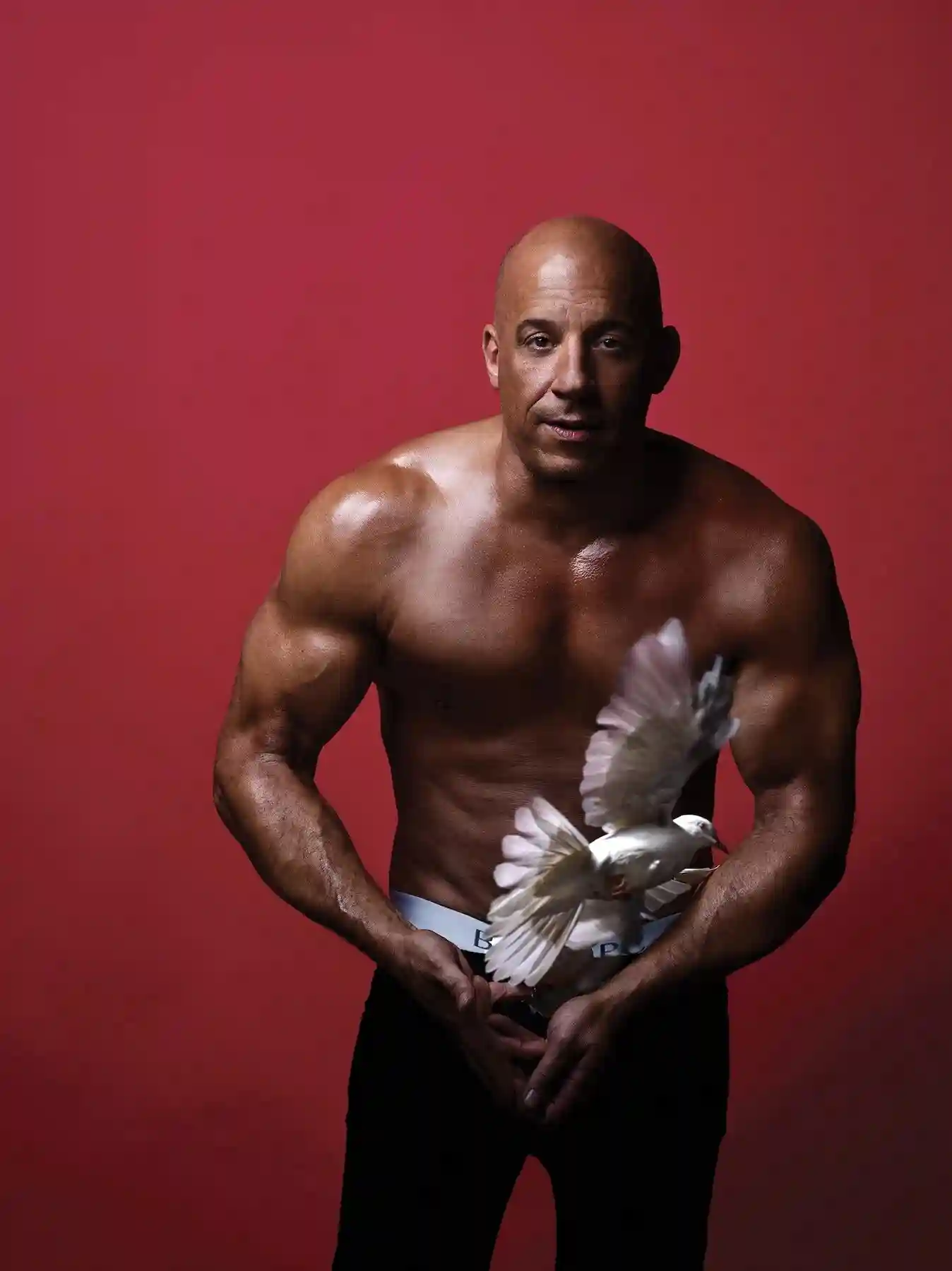 Vin Diesel Vin Diesel