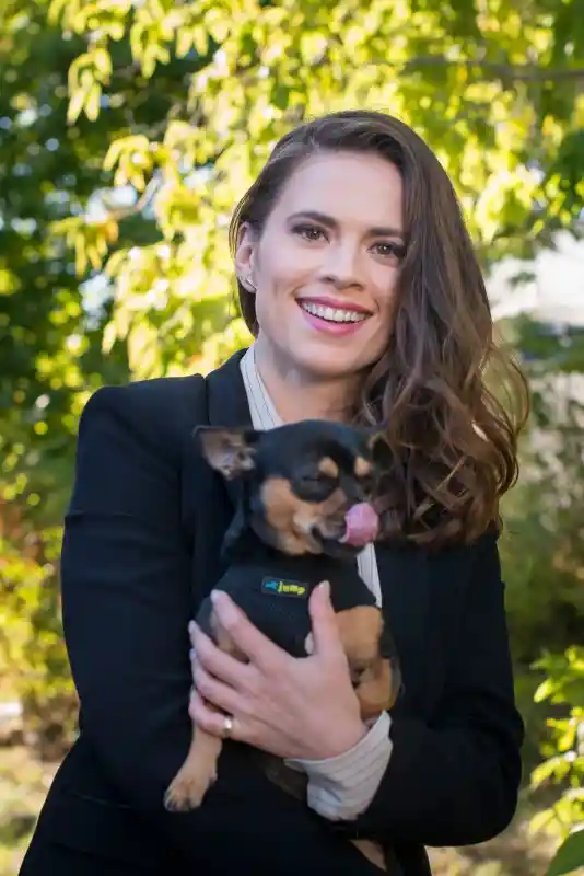 Hayley Atwell Hayley Atwell