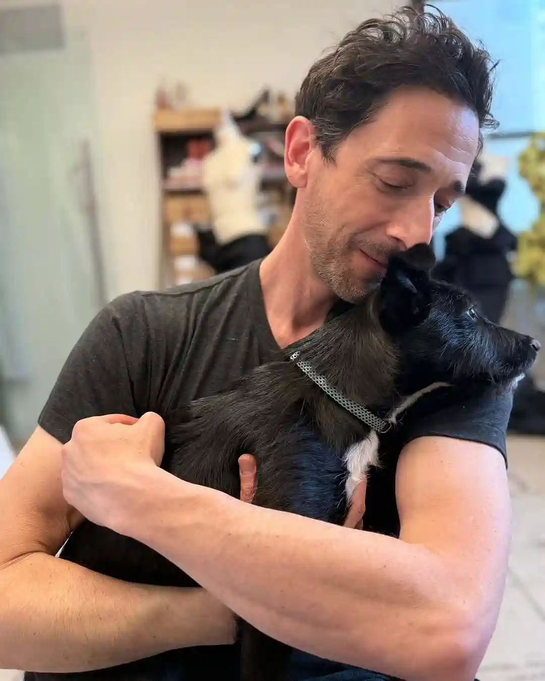 Adrien Brody Adrien Brody pet 1