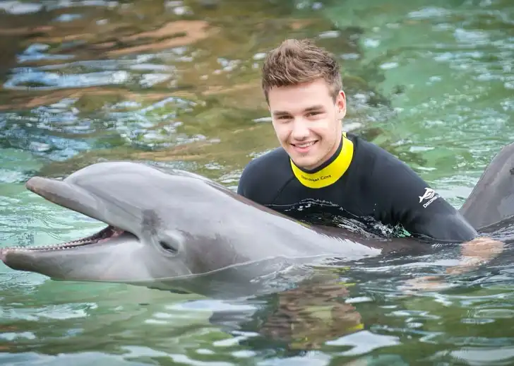 Liam Payne Liam Payne