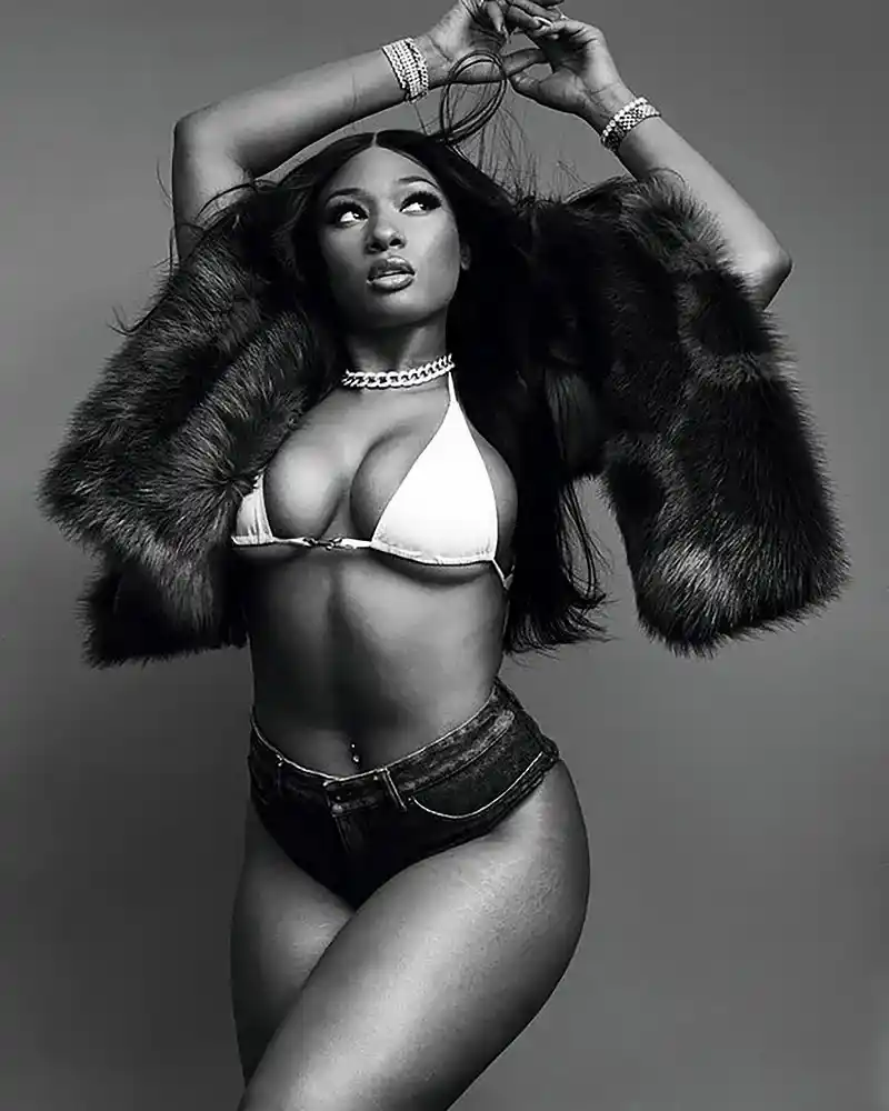 Megan Thee Stallion Megan Thee Stallion