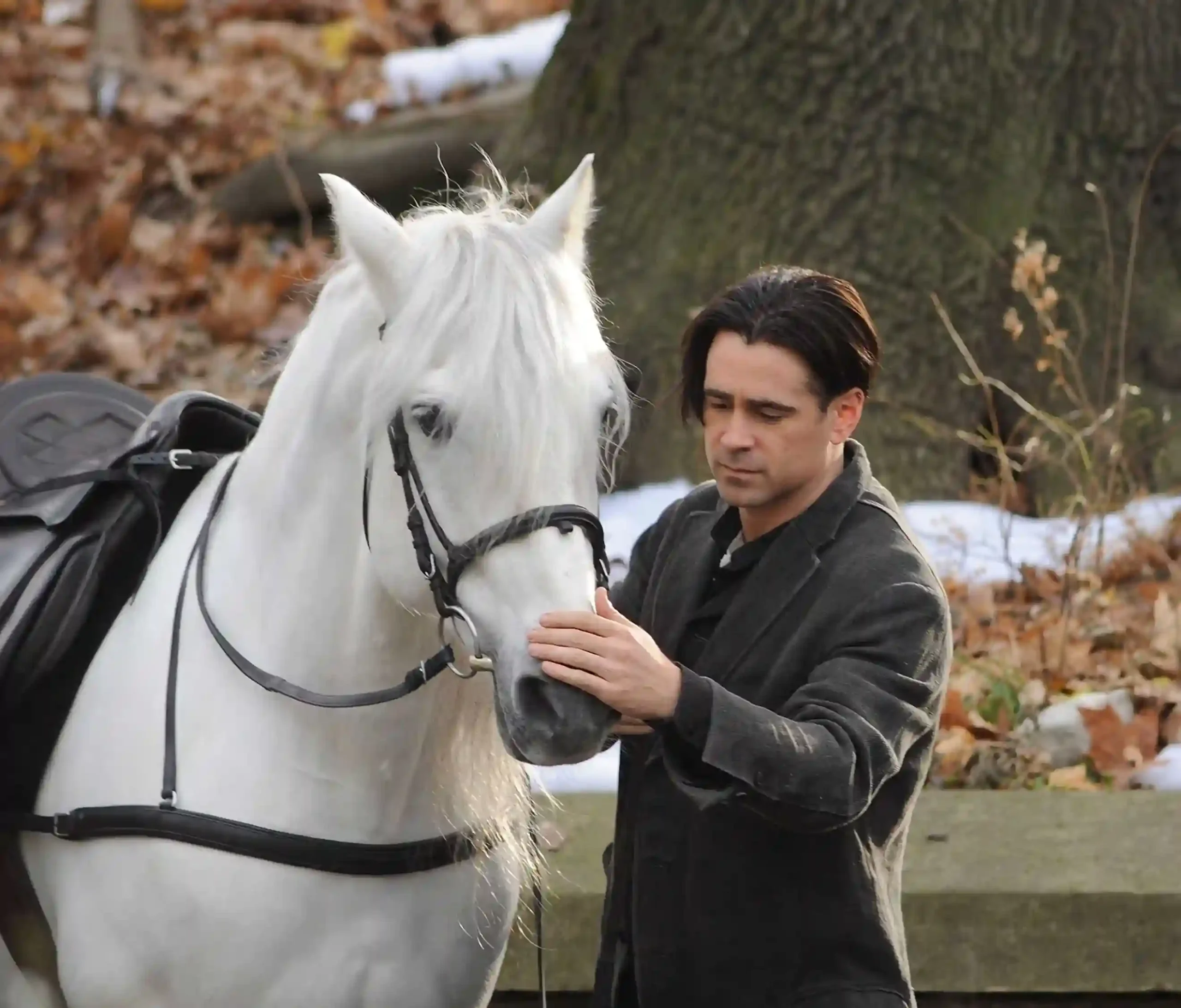 Colin Farrell Colin Farrell