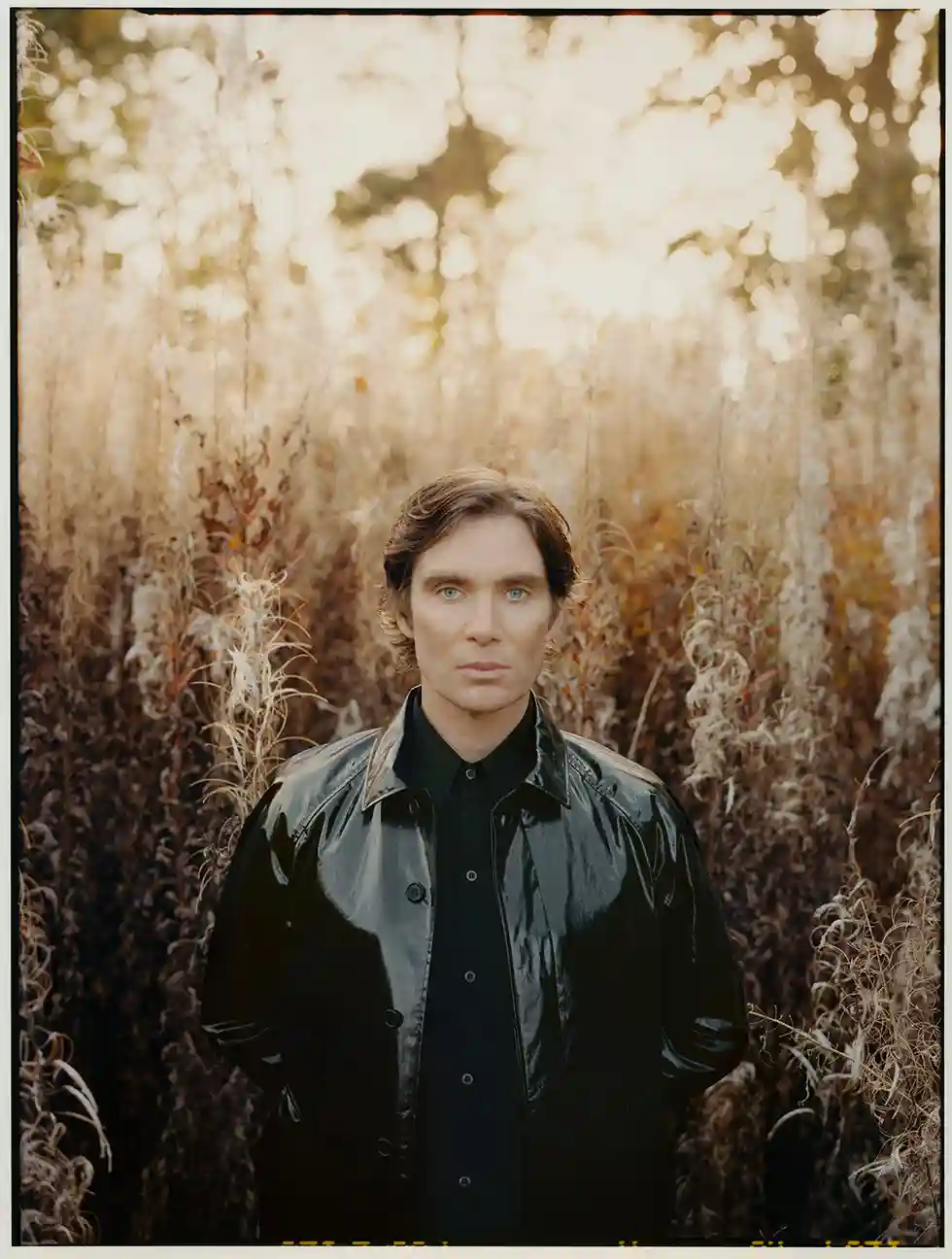 Cillian Murphy Cillian Murphy