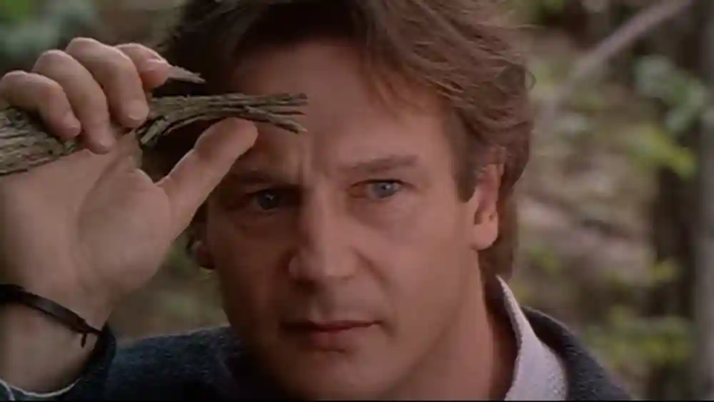 Liam Neeson Liam Neeson