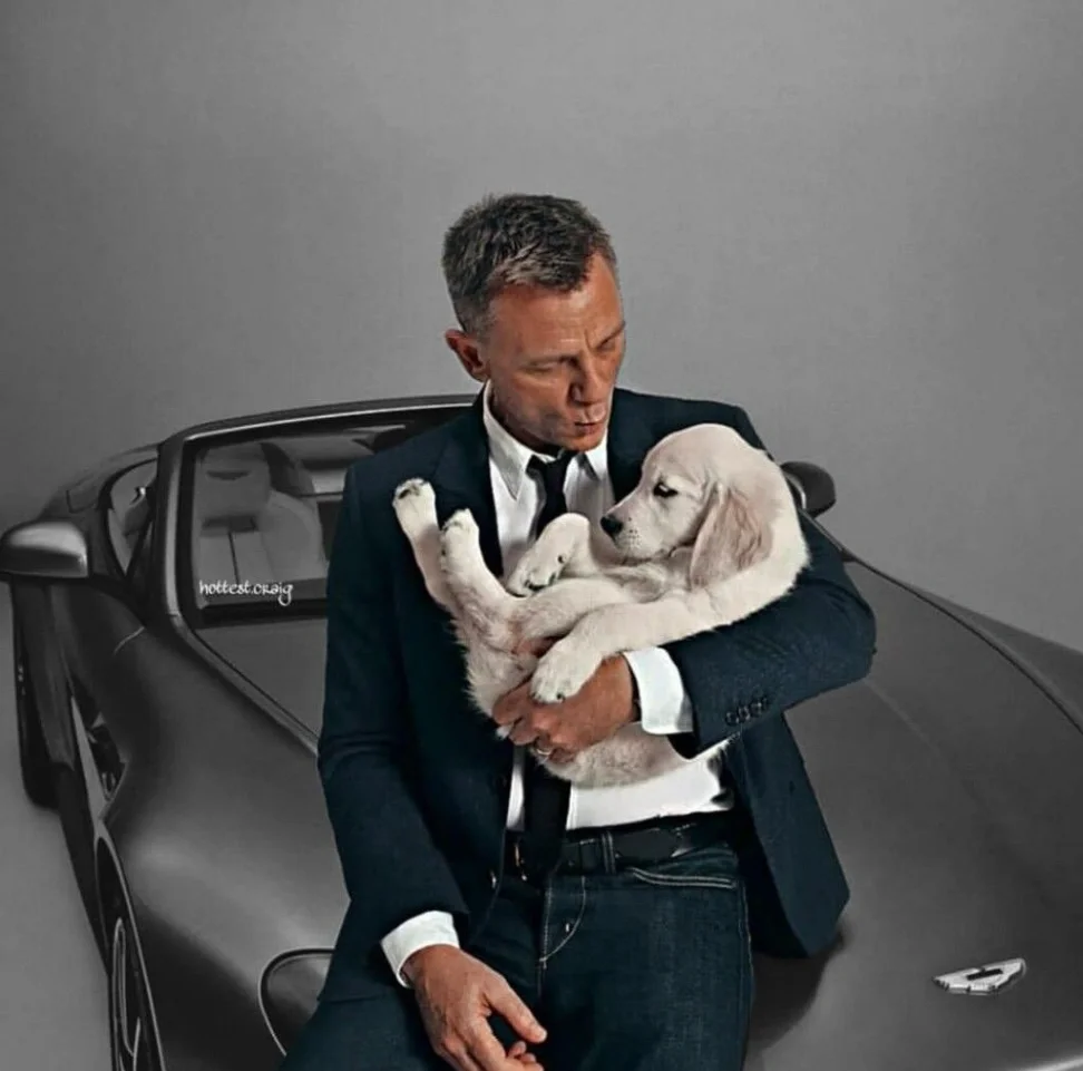 Daniel Craig Daniel Craig