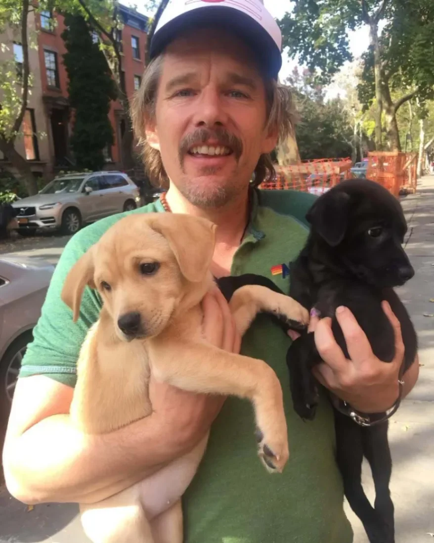 Ethan Hawke Ethan Hawke pets
